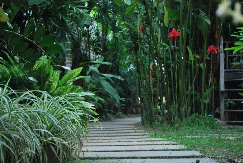 Breeze Of Pai Guesthouse Екстериор снимка