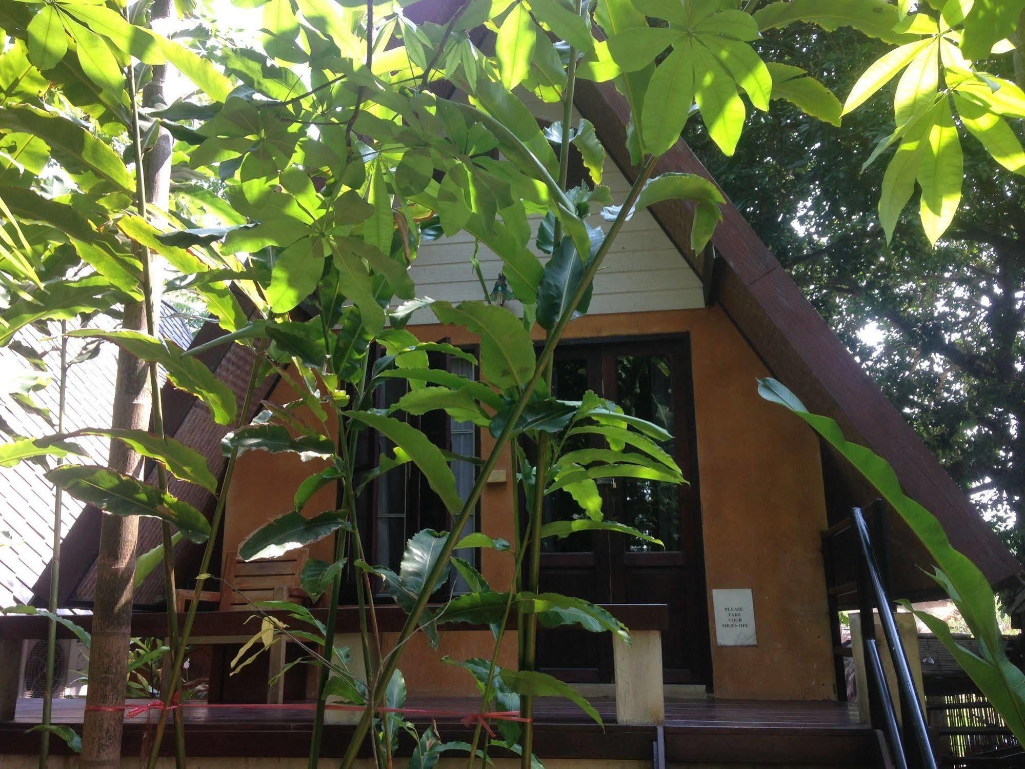Breeze Of Pai Guesthouse Екстериор снимка